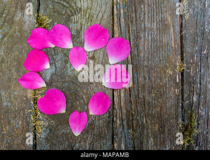 Rosa Rosenblüten auf einem alten board Hintergrund. Stockfoto