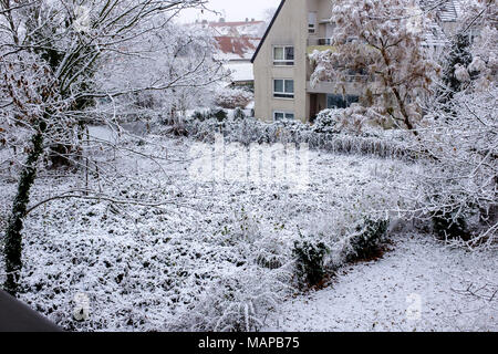 Wohnungsbau, dreistöckiges Haus, schneebedeckten wilden Garten, Schnee, Bäume, Winter, Straßburg, Elsass, Frankreich, Europa, Stockfoto