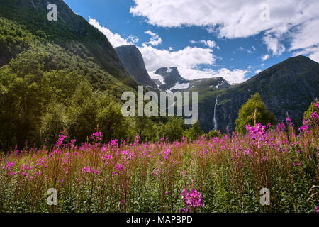 Blick auf den Wasserfall in Briksdalsbreen Tal im Nationalpark Jostedalsbreen Norwegen. Stockfoto