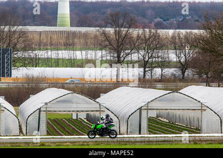 Landwirtschaft, Gewächshäuser, mobile, aus Kunststoff, Kunststoff Tunnel, für schnell wachsende Pflanzen, Gemüse, Obst, Spargel, Erdbeeren, Stockfoto