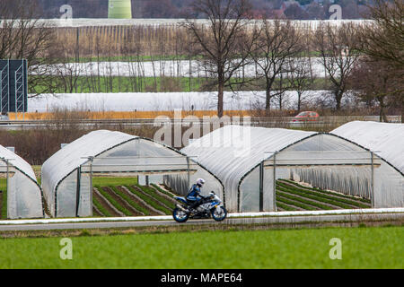 Landwirtschaft, Gewächshäuser, mobile, aus Kunststoff, Kunststoff Tunnel, für schnell wachsende Pflanzen, Gemüse, Obst, Spargel, Erdbeeren, Stockfoto