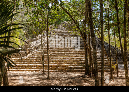 Kleine alte Pyramide der alten Maya-Kultur Stadt versteckt im Wald, Coba Archäologische Stätte, Coba, Yucatan, Mexiko Stockfoto