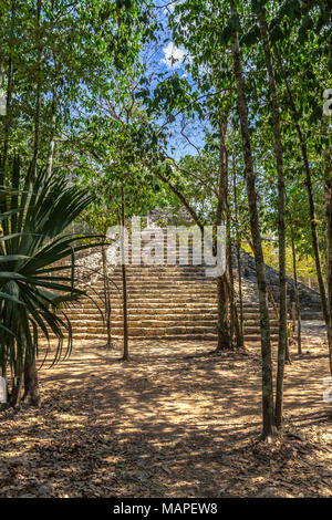 Kleine alte Pyramide der alten Maya-Kultur Stadt versteckt im Wald, Coba Archäologische Stätte, Coba, Yucatan, Mexiko Stockfoto