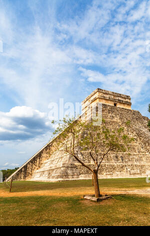 Maya Tempel des Kukulcan oder das Schloss, das Zentrum der Chichen Itza Archaeological Site und Baum im Vordergrund, Yucatan, Mexiko Stockfoto