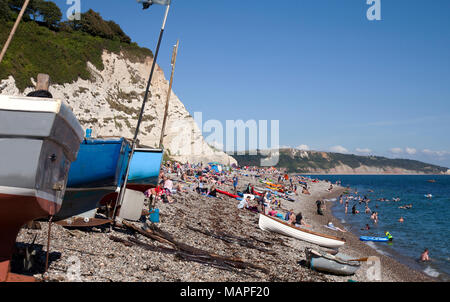 Von aufragenden weißen (Kreide) Klippen flankiert, der Strand am Dorf Bier auf Englands East Devon Coast lockt Scharen von oleasure Boote und Sonnenanbeter. Stockfoto