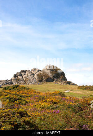 Menschen zu Fuß bis zu, auf und um einen massiven Felsformation namens Haytor in Dartmoor, Devon, England. Diese Felsen und seine angrenzenden Besucherzentrum ein Stockfoto