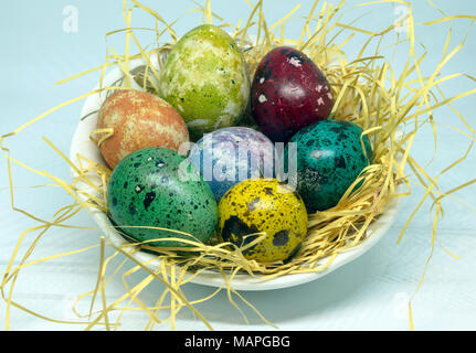 Thema Ostern. Mehrfarbige Wachteleier auf Stroh in eine kleine Schüssel. Stockfoto
