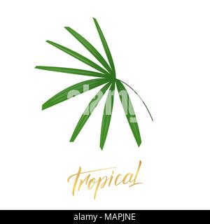Tropische palm leaf. Exotische palm leaf Design Element isoliert Stock Vektor