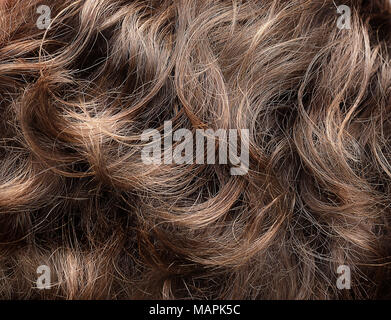 Lockiges Haar Textur Stockfoto