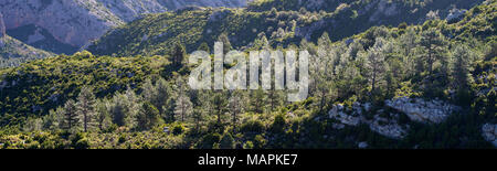 Bild an Häfen de Beceite Nationalpark, in dem die schöne felsige Hügel mit üppiger Vegetation und schönen Morgen Sonnenlicht, Spanien Stockfoto