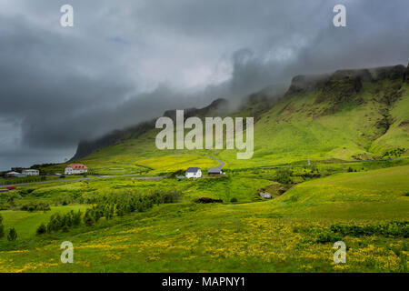 Vik, Island, Nebel, der südlichsten Stadt in Island Stockfoto