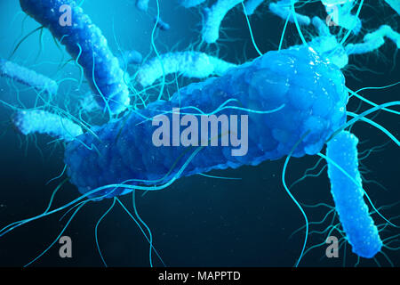 3D-Illustration Enterobacterias. Gramm negativas Proteobakterien, Bakterien wie Salmonellen, Escherichia coli, Yersinia pestis, klebsiella Stockfoto