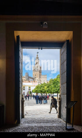 Sicht auf den Patio de Banderas Plaza (Hauptplatz) und die Kathedrale von Sevilla Giralda Glockenturm in der spanischen Stadt Sevilla 2018, Andalusien, Spanien Stockfoto