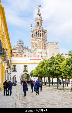 Patio de Banderas Plaza (Quadrat) mit Blick auf die Kathedrale von Sevilla Giralda Glockenturm in der spanischen Stadt Sevilla 2018, Andalusien, Spanien Stockfoto