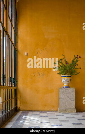 Bemalte Keramik Blumentopf in der Real Alcazar Palast gegen eine orange Wand als Hintergrund in der spanischen Stadt Sevilla, Andalusien, Spanien Stockfoto