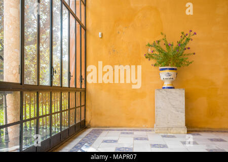 Bemalte Keramik in der Real Alcazar Palast gegen eine orange Wand als Hintergrund in der spanischen Stadt Sevilla, Andalusien, Spanien Stockfoto