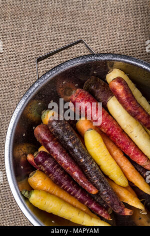 Mehrfarbige Karotten in einem Sieb Stockfoto