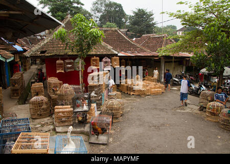 Die Vogel- und Blumenmarkt von Malang, Malang, Ost Java, Indonesien, Südostasien, Asien Stockfoto