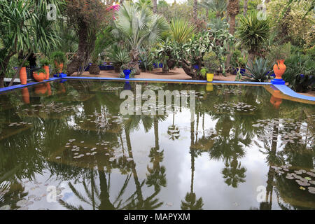 Jardin Majorelle (Majorelle Gärten), restauriert von Fashion Designer Yves Saint Laurent, Marrakesch (Marrakesch), Marokko, Nordafrika, Afrika Stockfoto