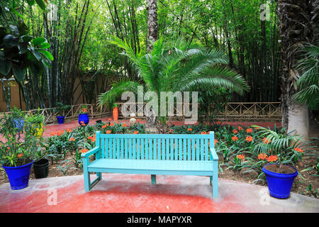 Jardin Majorelle (Majorelle Gärten), restauriert von Fashion Designer Yves Saint Laurent, Marrakesch (Marrakesch), Marokko, Nordafrika, Afrika Stockfoto