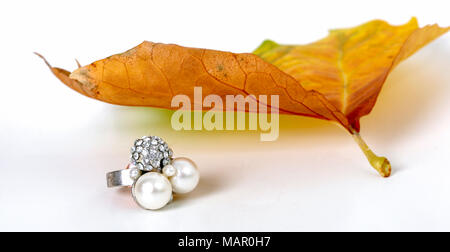 Bild eines Schmuck- und Herbst Blatt auf weißem Hintergrund Stockfoto