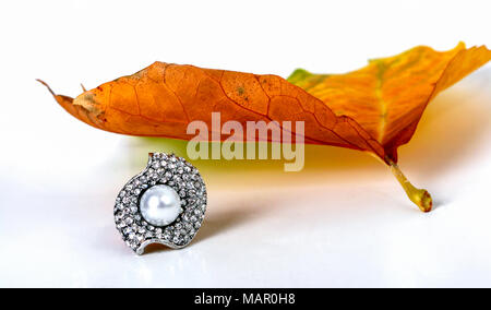 Bild eines Schmuck- und Herbst Blatt auf weißem Hintergrund Stockfoto