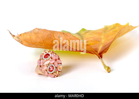 Bild eines Schmuck- und Herbst Blatt auf weißem Hintergrund Stockfoto