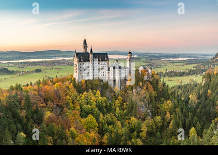 Schloss Neuschwanstein durch farbige Tannen bei Sonnenuntergang, Schwangau, Schwaben, Bayern, Deutschland, Europa Stockfoto
