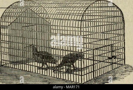 "Amtsblatt der Royal Horticultural Society London" (1866) Stockfoto