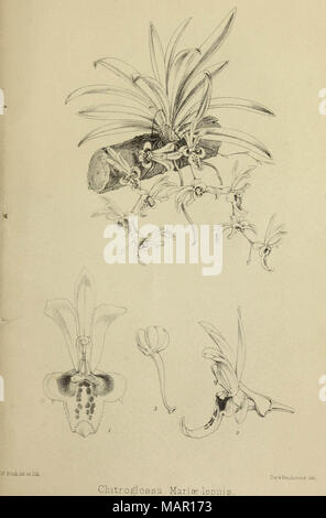 "Amtsblatt der Royal Horticultural Society London" (1866) Stockfoto