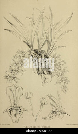 "Amtsblatt der Royal Horticultural Society London" (1866) Stockfoto