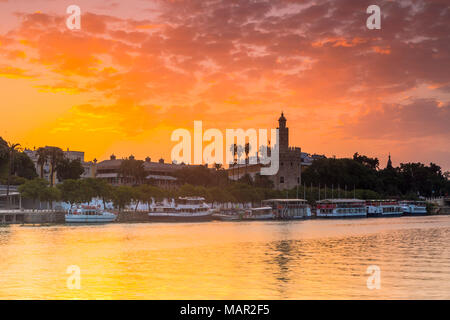 Torre del Oro (Goldener Turm) bei Sonnenaufgang, Sevilla, Andalusien, Spanien, Europa Stockfoto