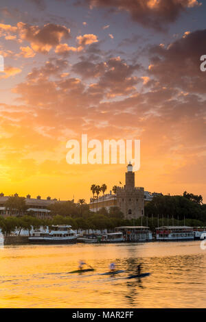 Torre del Oro (Goldener Turm) bei Sonnenaufgang, Sevilla, Andalusien, Spanien, Europa Stockfoto