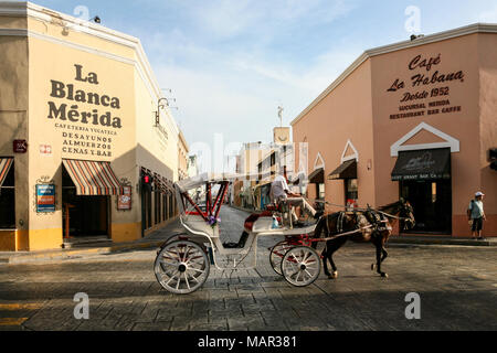 MERIDA, MEXIKO - 11. März 2012: Pferdekutschen auf einem Morgen city street in Merida, Yucatan, Mexiko Stockfoto