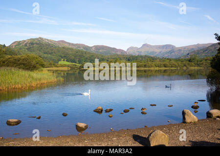 Fluss Brathay, Elter Wasser, Lake District, UNESCO-Weltkulturerbe, Cumbria, England, Vereinigtes Königreich, Europa Stockfoto