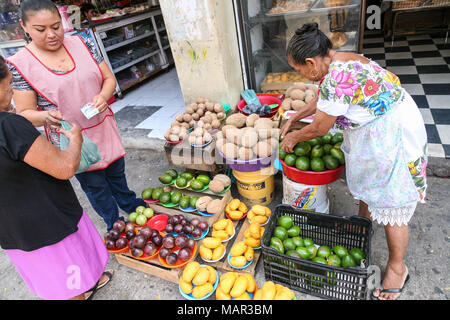 MERIDA, MEXIKO - 11. März 2012: Frauen verkaufen Mais Gough für tortillas auf einem lokalen Markt in Merida, Yucatan, Mexiko Stockfoto