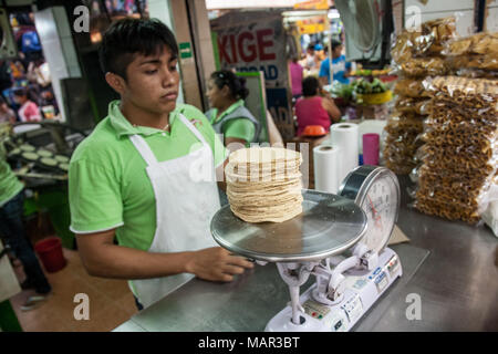 MERIDA, MEXIKO - 11. März 2012: Anbieter Verkauf von Mais oder Getreide Tortillas auf einem lokalen Markt in Merida, Yucatan, Mexiko Stockfoto