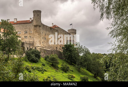 Blick auf die Burg Mauer mit Türmen auf Toompea Hügel in der Altstadt von Tallin, Estland Stockfoto