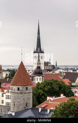 Stadtbild der Altstadt von Tallinn, Estland Stockfoto