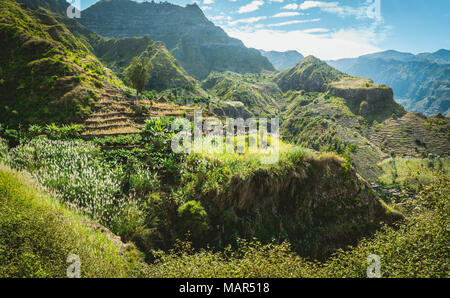 Tolle Aussicht auf hohe Berge mit üppiger, grüner Vegetation bedeckt. Malerische Bananen und Zuckerrohr Plantagen auf dem Trekking trail Coculli Santo Antao Kap Verde Stockfoto