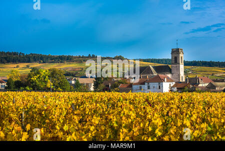 Chateau mit Weinbergen im Herbst Saison, Burgund, Frankreich Stockfoto