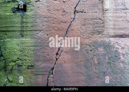 Eine Betonwand nützlich als Hintergrund bedeckt mit Moos in Rot und Grün Stockfoto
