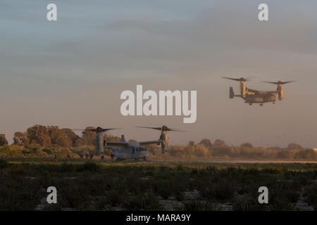 Marines mit Special Purpose Marine Air-Ground Task Force-Crisis Response-Africa 13.00 MV-22 Fischadler bei der taktischen Recovery von Flugzeugen und Personal (Trap) Ausbildung bei Naval Station Rota, Spanien, 28. März 2018. SPMAGTF-CR-AF eingesetzt Krise - Reaktion und Theater - Security Operations in Europa und Nordafrika zu führen. (U.S. Marine Corps Foto von SSgt Britni M. Garcia Grün/Freigegeben) Stockfoto