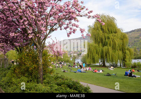 Neckar bei Heidelberg, Baden-Württemberg, Deutschland Stockfoto