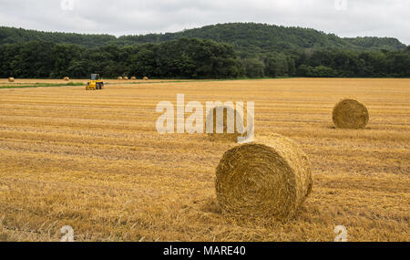 Heuballen Sitzen nach der Ernte in einem ländlichen Hokkaido Feld Stockfoto