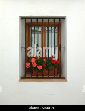 Eine typische weiß lackiert Dorfstraße Fenster mit Blumenarrangement Szene in Altea, Alicante, Spanien. Stockfoto