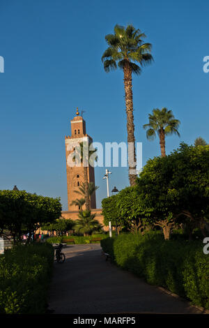 Öffentliche Garten mit Palmen vor der Koutoubia Moschee bei Sonnenuntergang, Marrakesch, Marokko Stockfoto