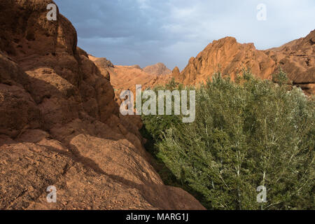 Felsige Landschaft an der Spitze der Dadas Schlucht in Marokko Stockfoto