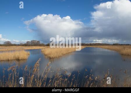 Ein Blick über die Somerset Levels auf einem hellen, sonnigen Wintertag. Stockfoto