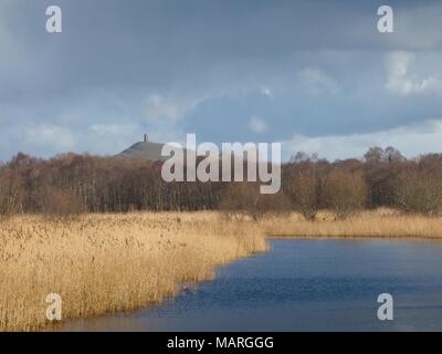 Eine Ansicht der Somerset Levels mit Glastonbury Tor in der Ferne. Stockfoto